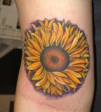 Sunflower Tattoo Design on Arm 