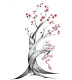 Cherry Blossom Japan Drawing Tattoo