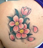Body Part Back Cherry Blossoms Tattoo Design