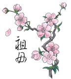 Traditional Chinese Drawing Cherry Blossom Tattoo Design