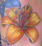 Tattoos Color Tiger Lily
