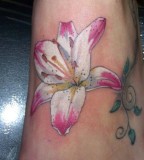 Tattoo Art in Tiger Lily Tattoo for Girls
