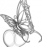 Tribal Butterfly Tattoo Drawing Sample