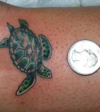 Little Turtle Tattoo Ideas - Animal Tattoo