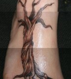 Gorgeous Weeping Willow Tattoo Picture 