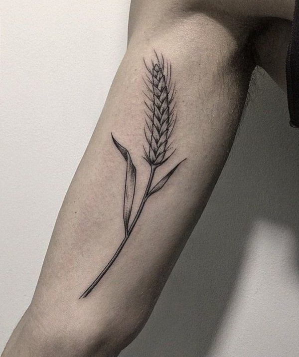 wheat tattoos for men