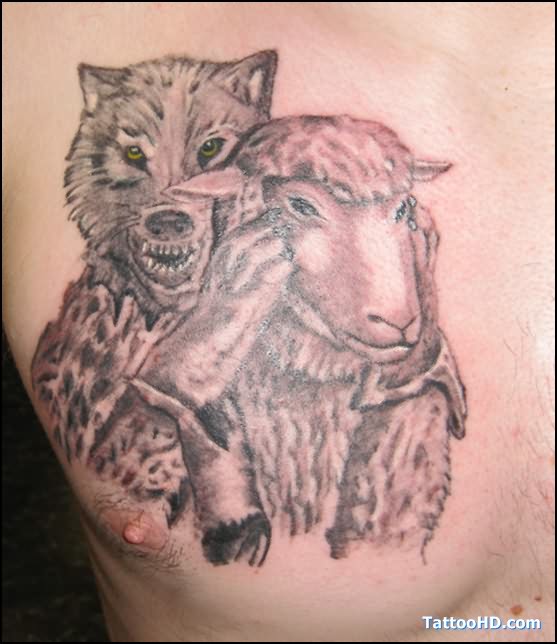 Angry Wolf And Goat Tattoo Chest Tattoo