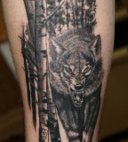 Wild Wolf Tattoo Image For Men