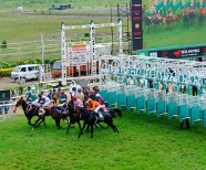Action-Packed Pune Horse Race At Pune Race Course 