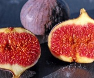 Can Dogs Eat Figs – Discover the Surprising Benefits