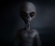 Everything You Want to Know About Aliens on Earth