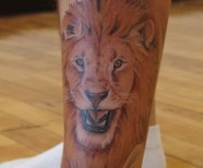 Lions tattoos on arms