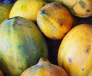 Papaya Benefits and What Makes in a Wonder Fruit