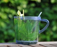 Peppermint Tea Benefits: Your Guide to Good Health