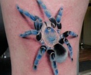 Spiders tattoos