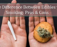 The Difference Between Cannabis Edibles vs Smoking Cannabis