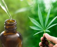 The Hype About CBD: Is It Real or Fake?
