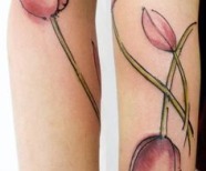 Tulips tattoos