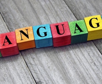 A Beginner’s Guide on Learning a New Language