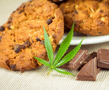 A Beginner’s Guide to Taking CBD Edibles: Everything to Know