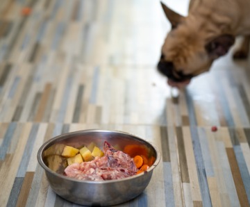 Homemade dog food – to do it or not to do it, that is the question