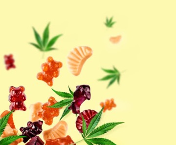 Is There a Difference Between Hemp And CBD Gummies?