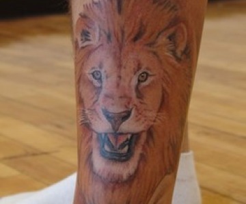 Lions tattoos on legs