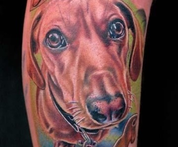 Lovely dogs tattoos