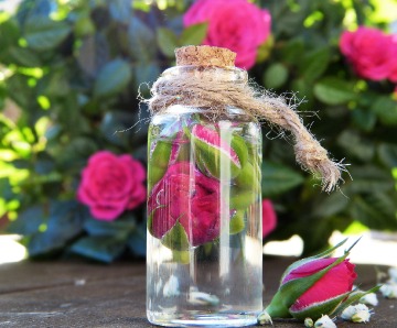 Rose Water Benefits for Skin, Hair, and Eyes