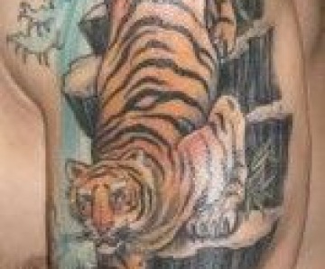 Tigers tattoos on arms