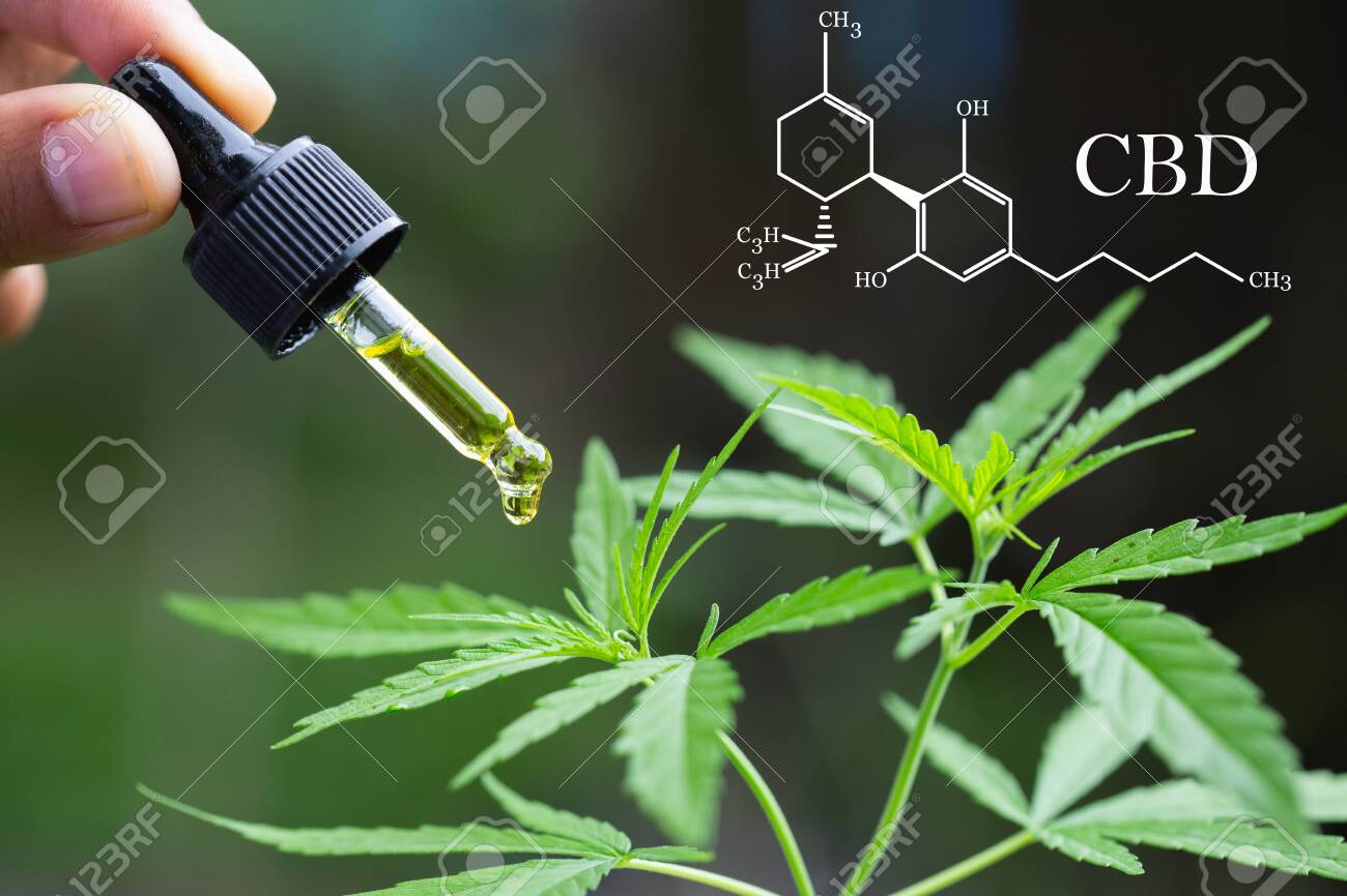 What are Benefits of CBD