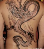 back tattoo designs dragon