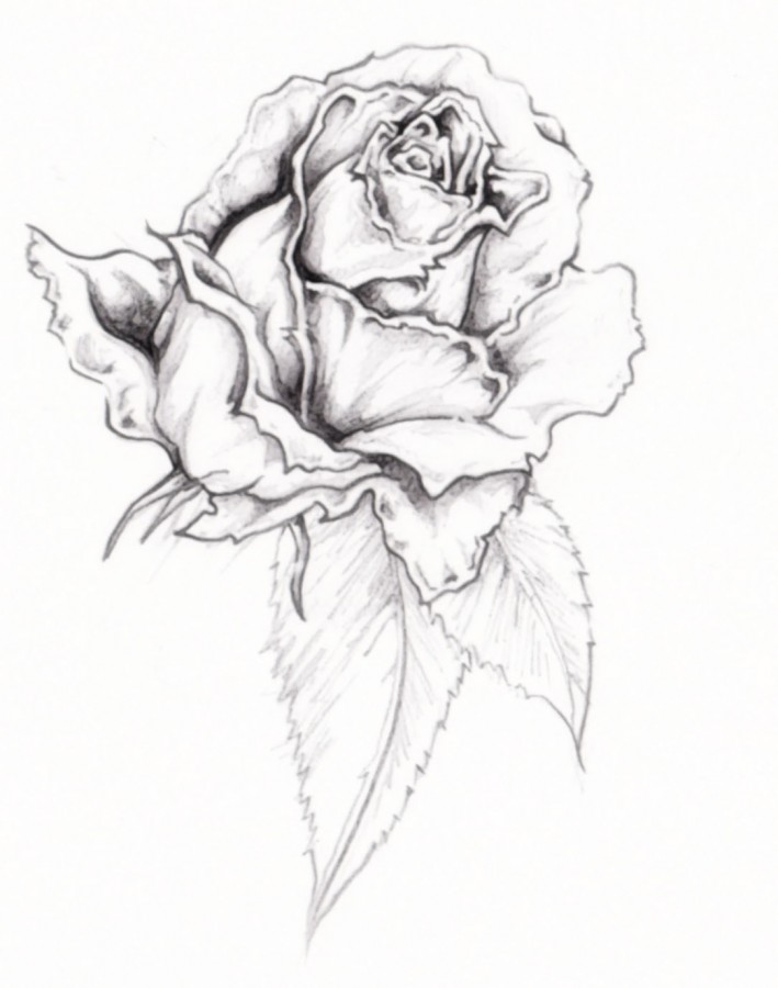 flower designs for tattoos rose