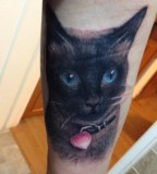 Cat-tattoo