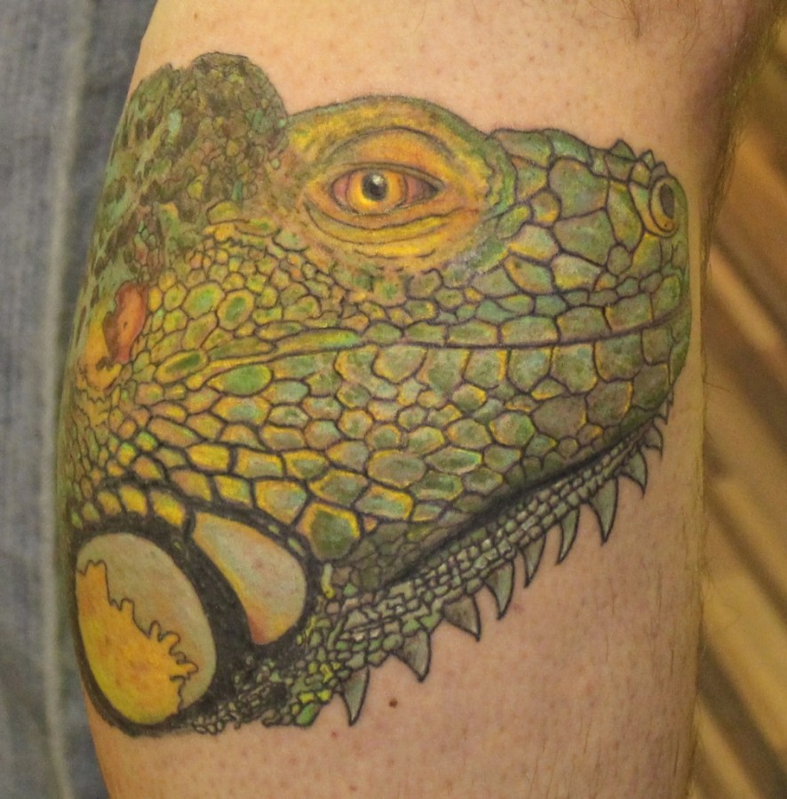 Chameleon-tattoo