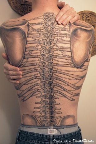 anatomical tattoo backbones