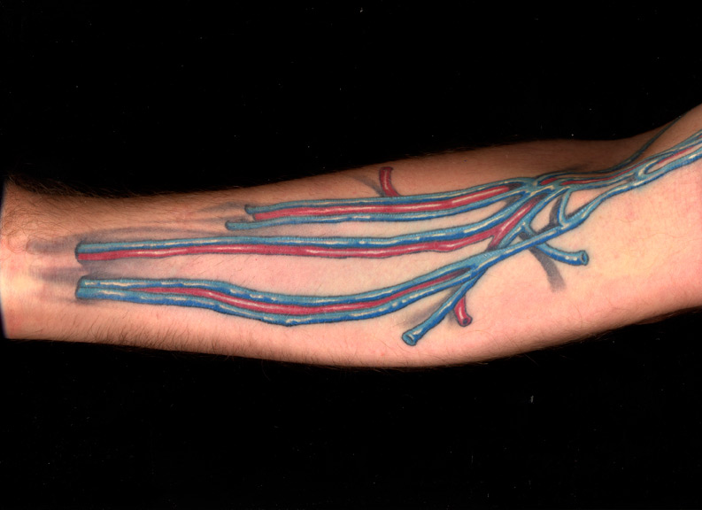 anatomical tattoo blood
