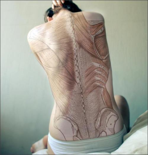 anatomical tattoo  full back bones and muscles