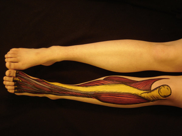 anatomical tattoo leg anatomy