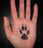 animal rights tattoo paw tatto on human hand