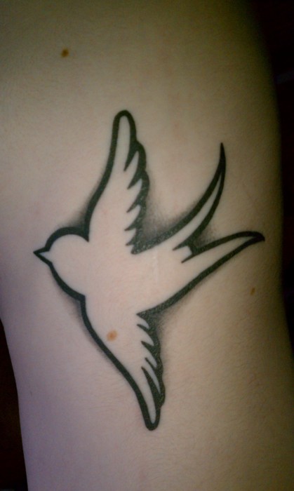 elegant bird tattoo contour work flying