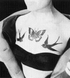 elegant bird tattoo on chest butterfly
