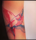 elegant bird tattoo red and blue tattoo motion
