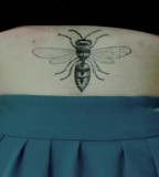 insect-tattoo-bee-on-back-waist