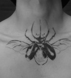 insect-tattoo-bug-on-chest