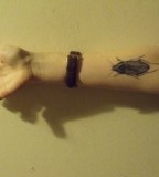 insect-tattoo-cockroach
