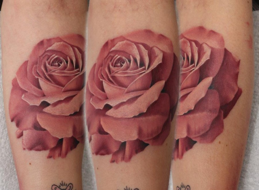 realistic tattoo ppink rose