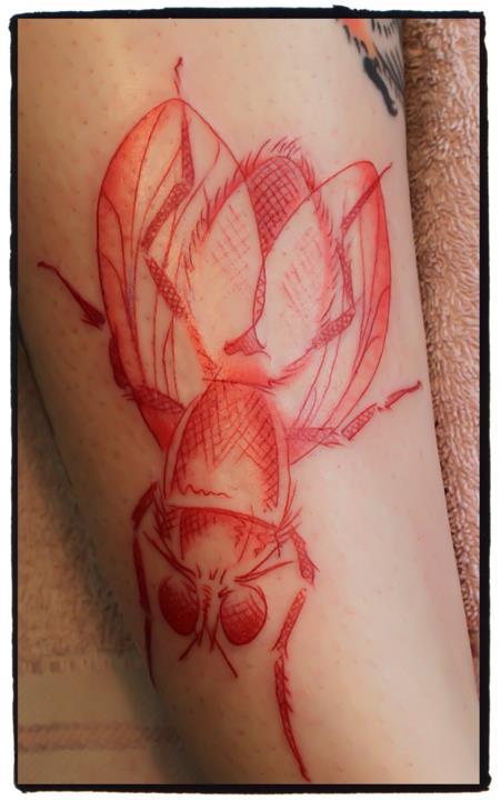 red ink tattoo fly