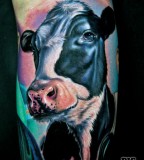 tattoo by Mike DeVries cow