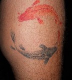 watercolor tattoo design koi fish yin yang